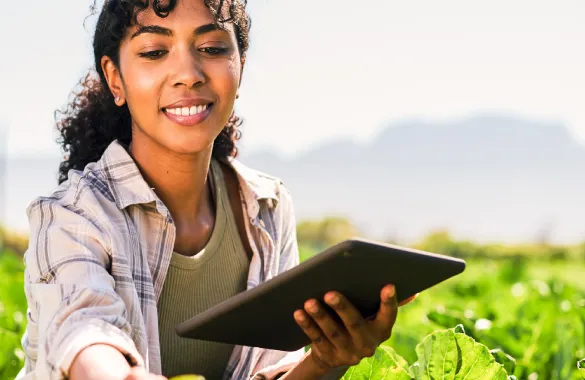 Muchacha revisando la cosecha