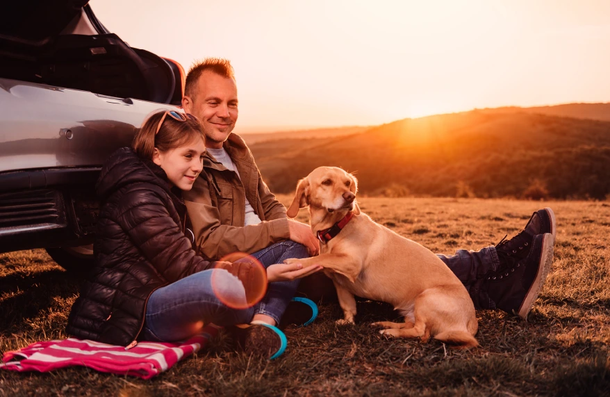 Botón Seguro Deducible de Automóviles