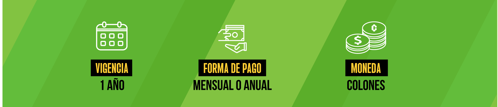 PLANTILLA SITIO VIDA PROTEGIDA Autoexpedibles 02